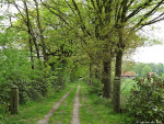 Erve Volmerinck